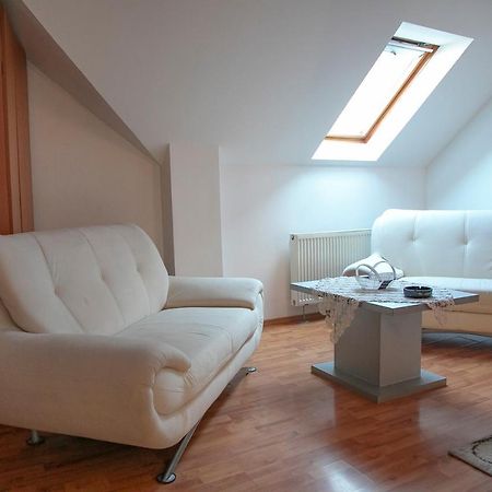 Târgu-MureşXxl-Houseアパートメント エクステリア 写真