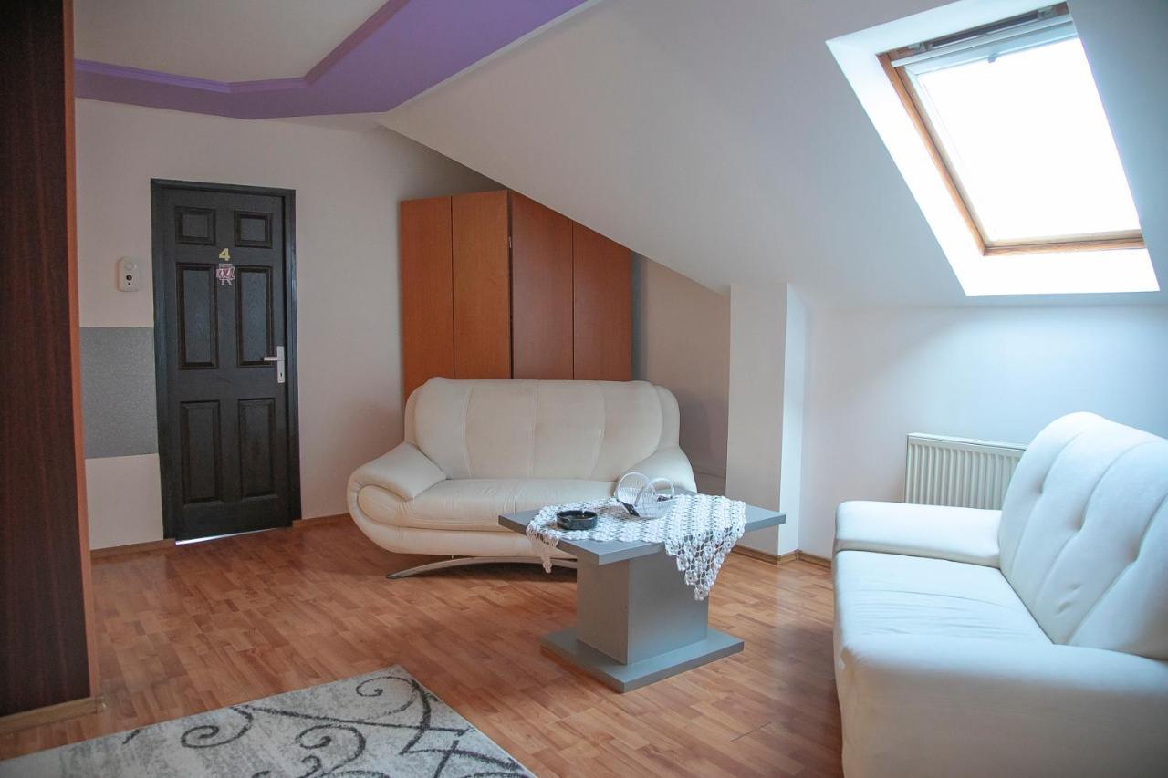 Târgu-MureşXxl-Houseアパートメント エクステリア 写真
