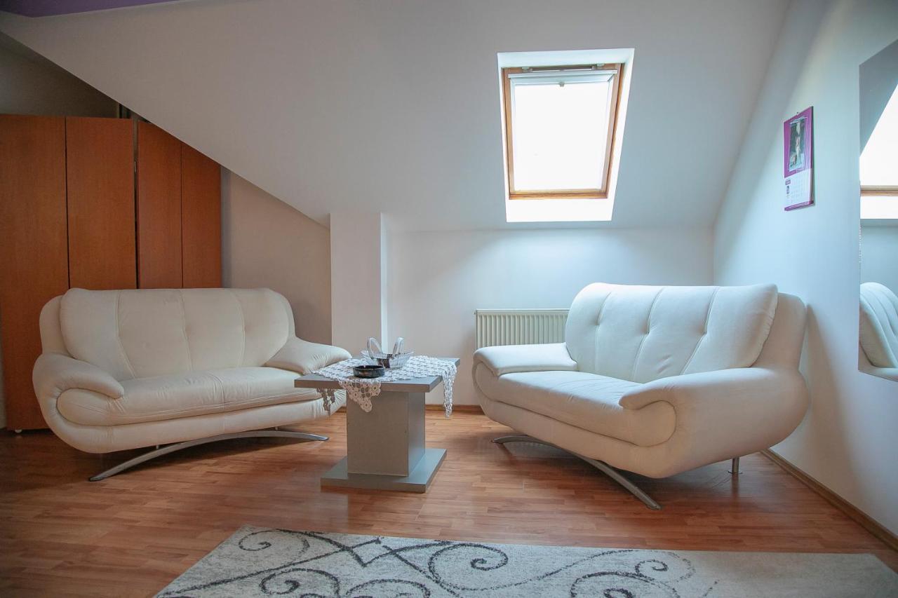 Târgu-MureşXxl-Houseアパートメント エクステリア 写真
